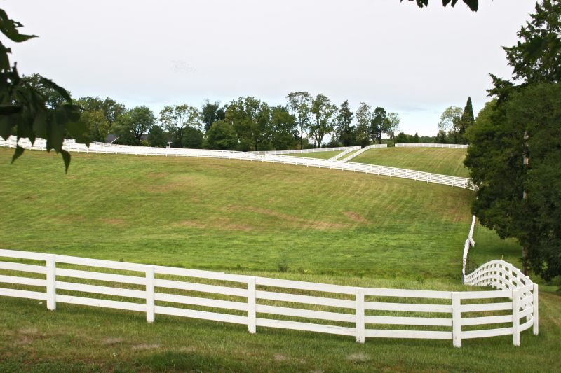 Pasture Fence Repair