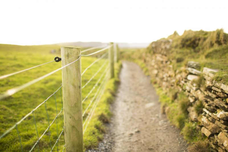 Wire Fence Replacement