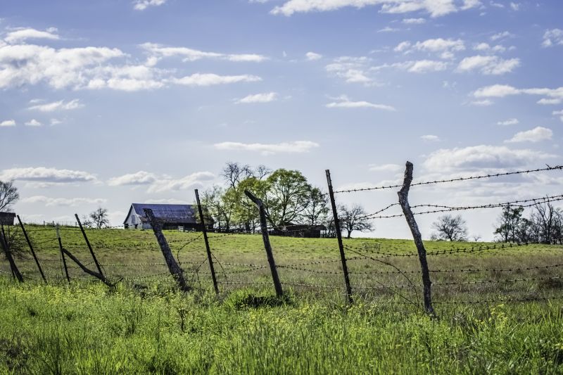Barbed Wire Fence Replacement