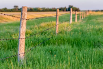 Barbed Wire Fence Replacement