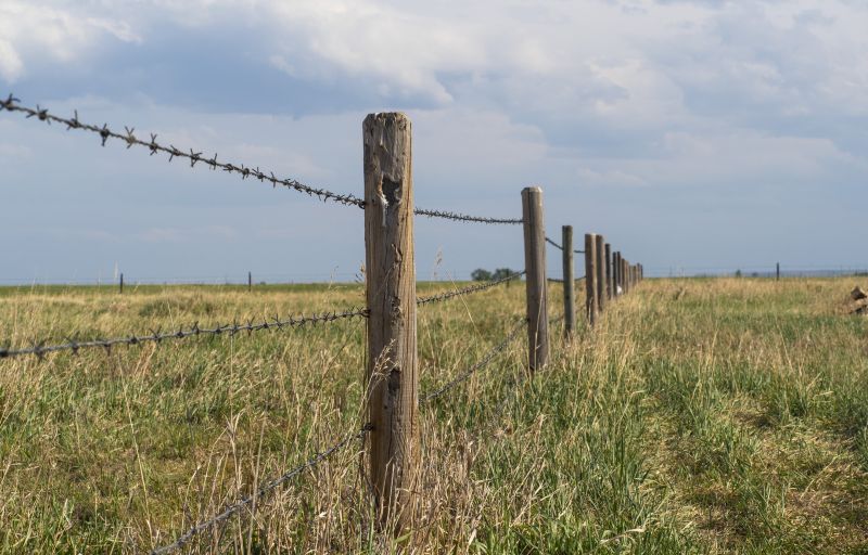Board Fence Installation