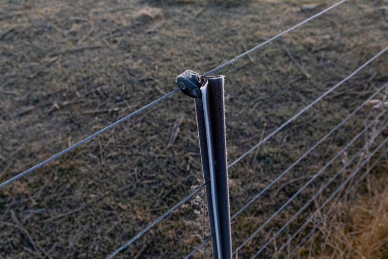 Wire Fence Replacement