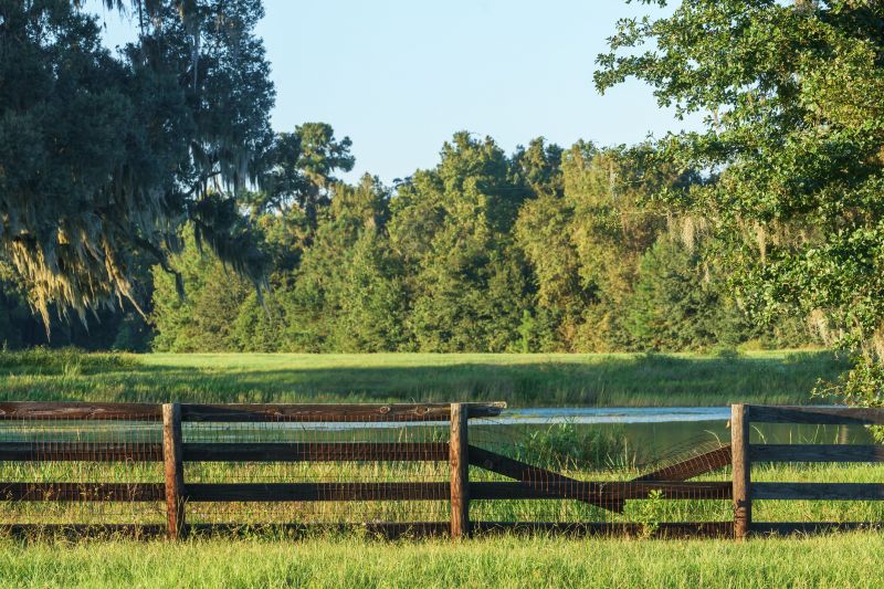Wire Fence Replacement