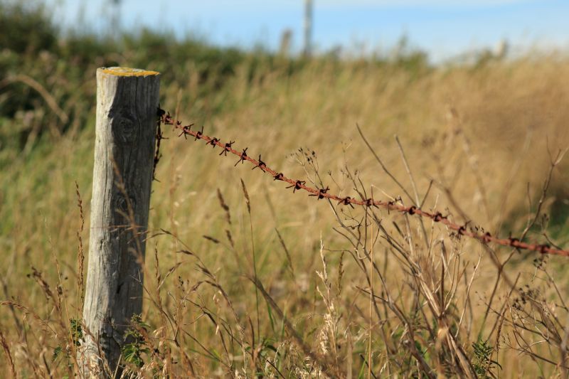 Woven Wire Fence Repair